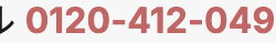 0120-412-049